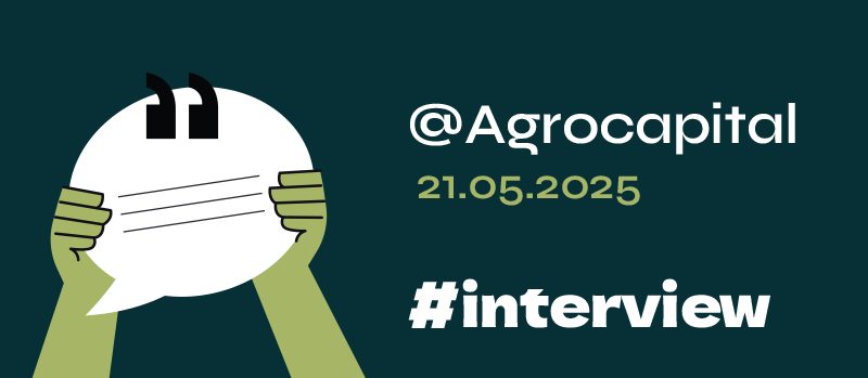 website_blog_icon_01